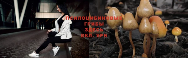 кокс Осинники